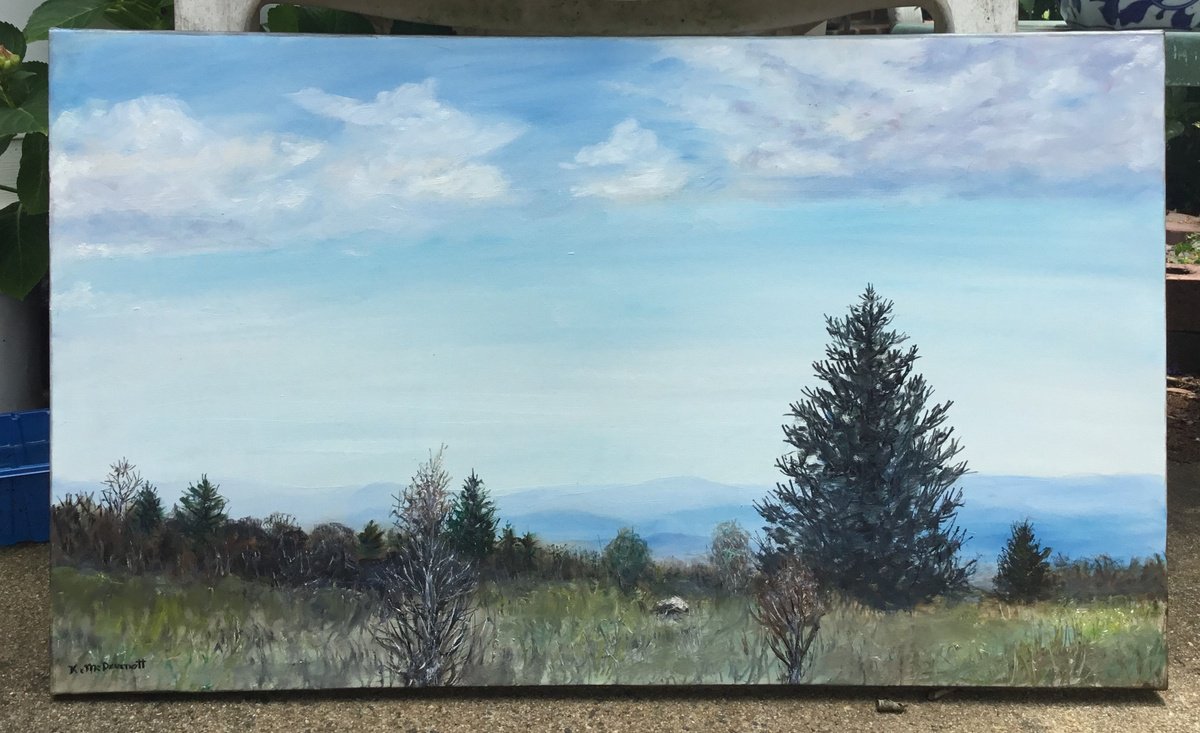 Photorealistic Landscape Oil Painting By Kathleen Mcdermott, 25 X 15", View From Grayson Highlands, Original Artwork