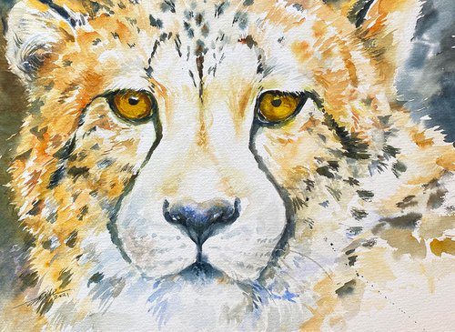 Cheetah Portrait_Nigel by Arti Chauhan
