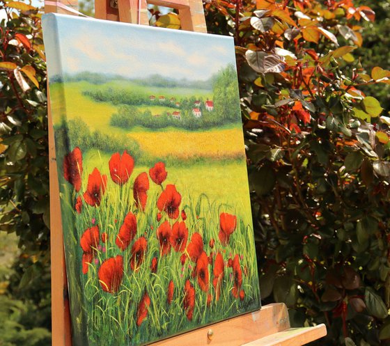 Red poppies