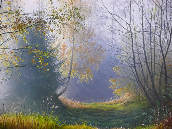 Foggy morning in the autumn forest