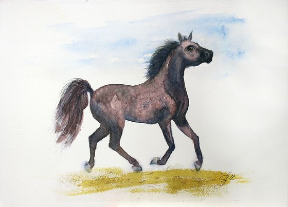 Horse II