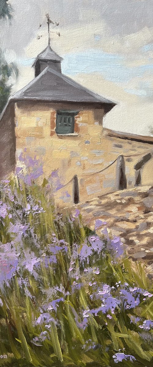 Purple blooms by Alina Karpova