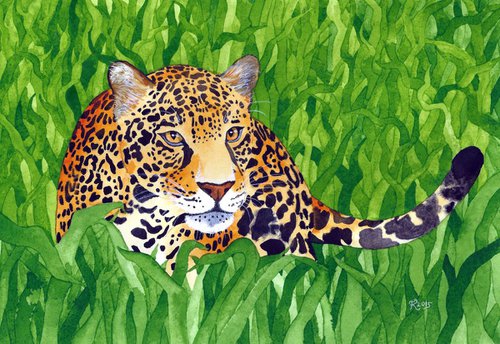 Jungle Cat 5 by Terri Smith