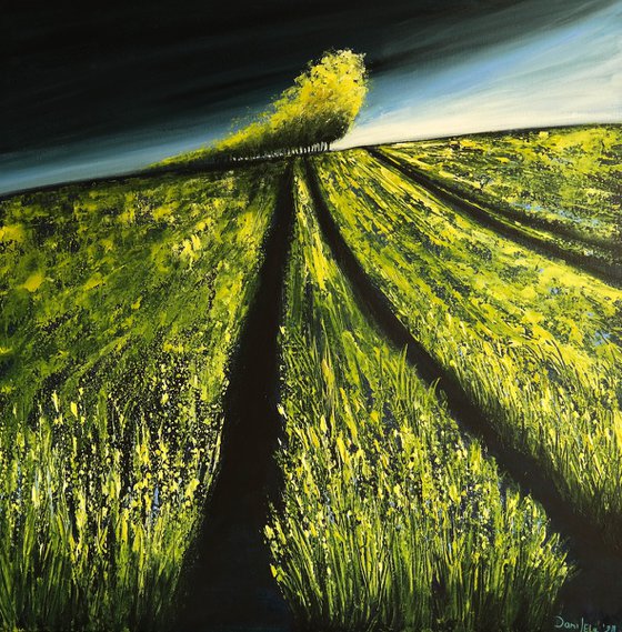 Spring sunrise