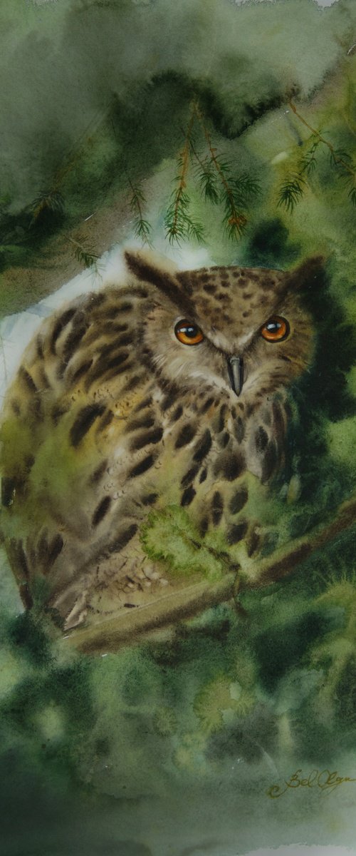 The Watchful Owl by Olga Beliaeva Watercolour