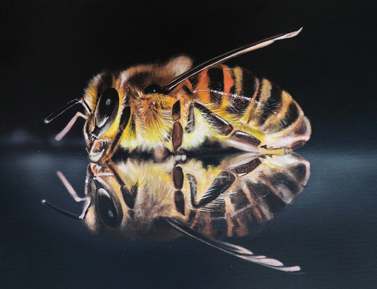 Bee painting on canvas,  original art bee, bee art, hyperrealism art insect by Svitlana Brazhnikova
