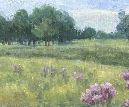 Field Blossoms by Michael Gillespie