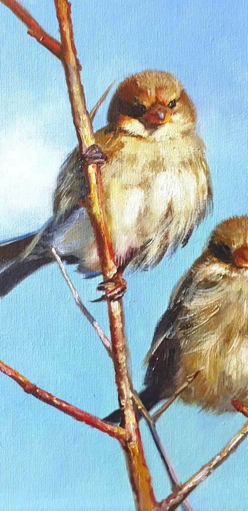 "On the hunt.  " sparrow birds 2021 by Anna Bessonova (Kotelnik)
