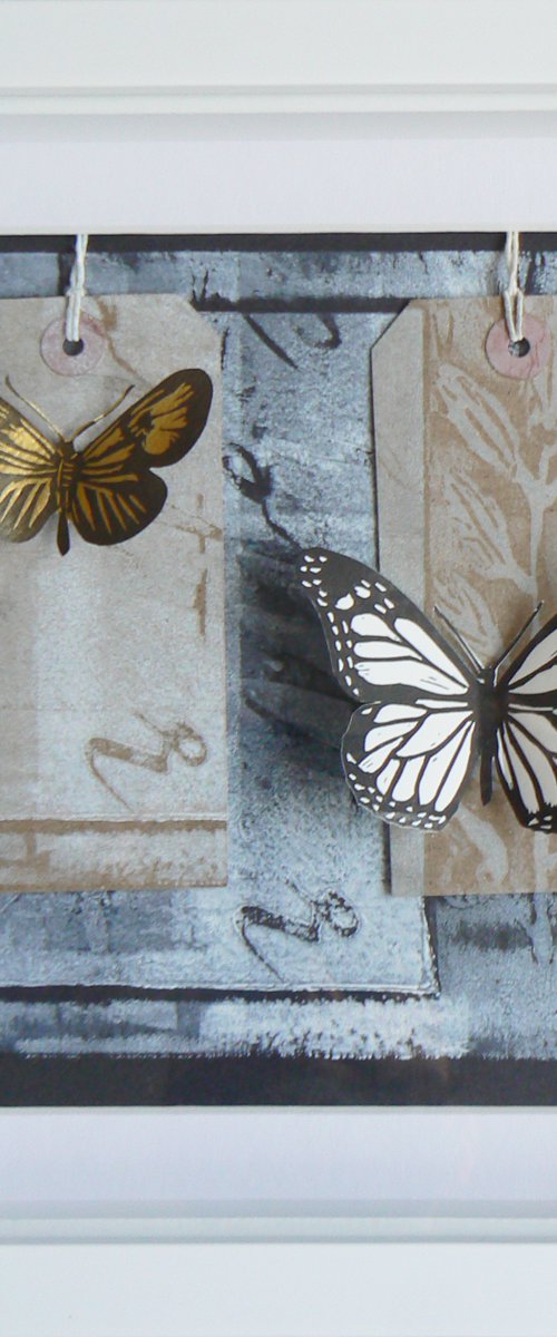 Butterfly box #2 by Carolynne Coulson
