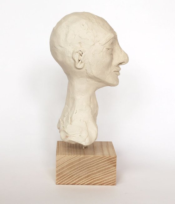 Wilkinson: ceramic portrait sculpture