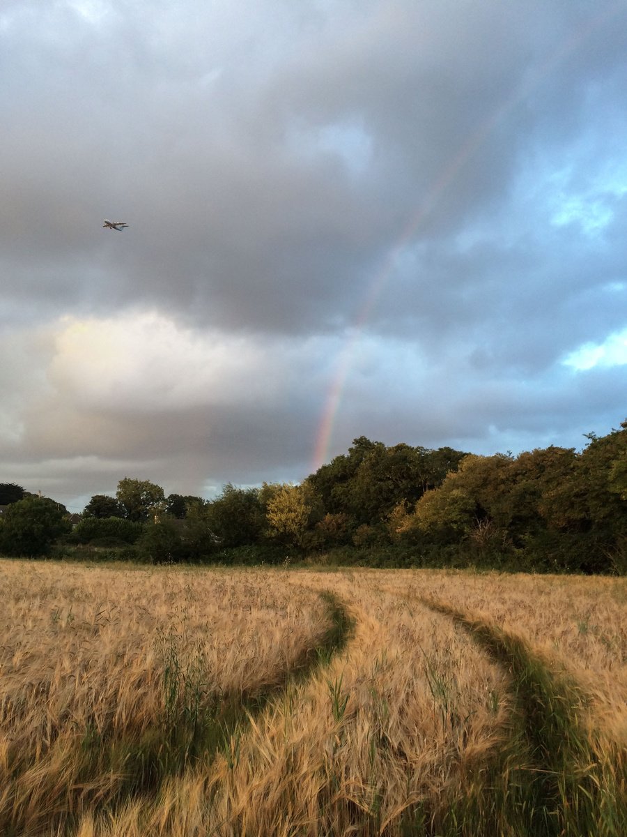 Impressionistic Landscape Photograph By Frankie Malone, 10 X 13, Sean