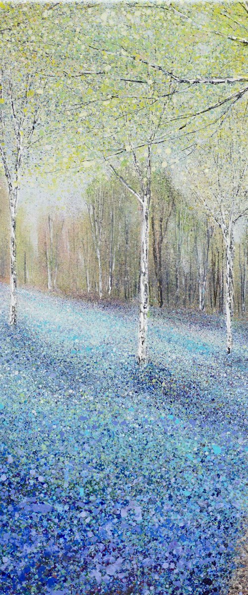 BLUEBELL HEAVEN by Chris Bourne