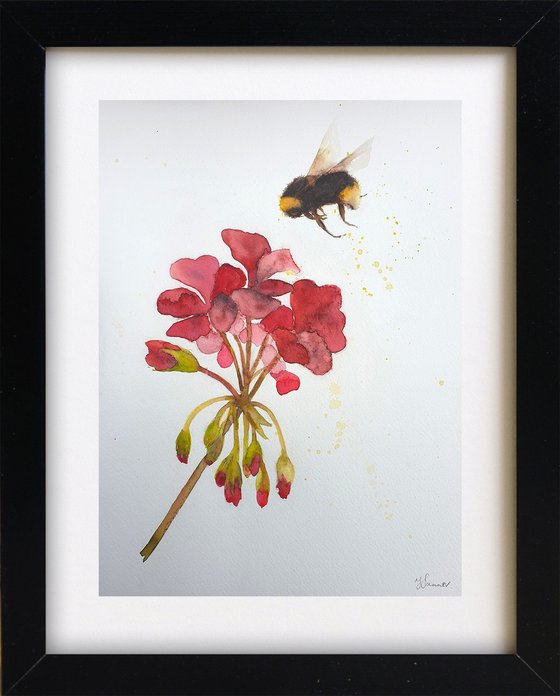 Bumble Bee Red Geranium