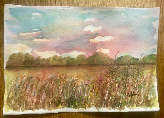 Grassy meadow, Bourton, Dorset