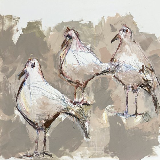 The Gulls