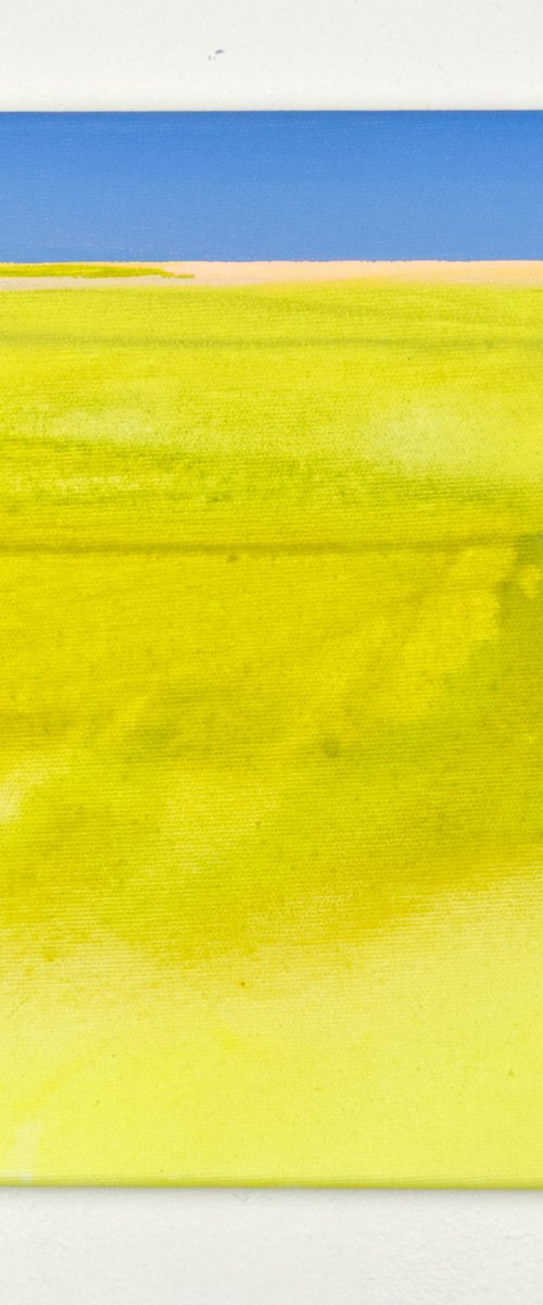 Area 16 by Katrin Roth