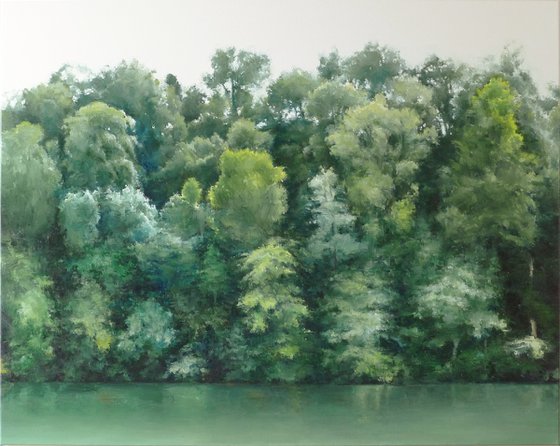 The forest on the lake