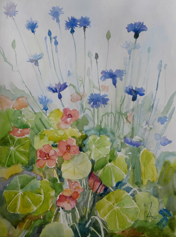 Flowerbed in Gothenburg