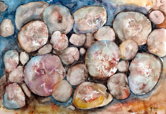 STONES BY THE SHORE