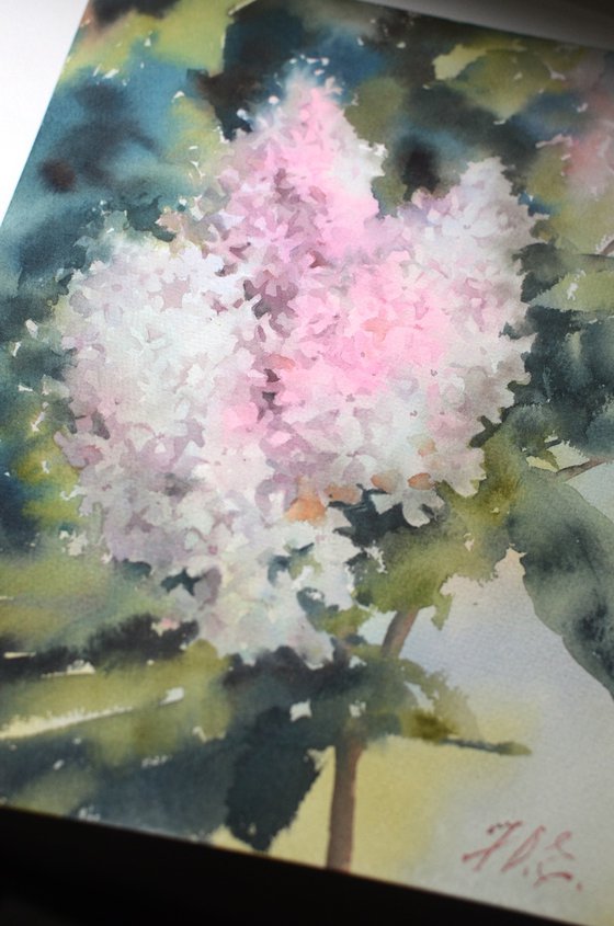 A branch of light lilac