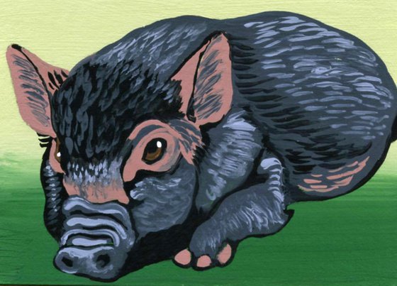 ACEO ATC Original Miniature Painting Black Pig Farmyard Art-Carla Smale