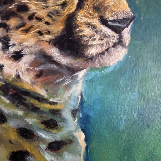 Leopard of Disdain (2025)