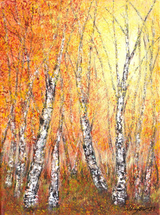 Autumnal birch trees