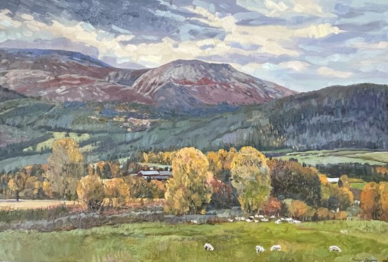 Autumn Trøndelag