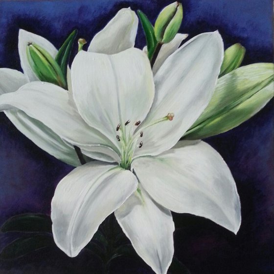 Lilies