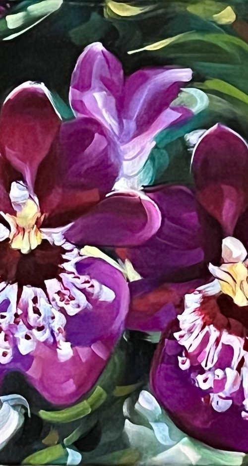 Orchids by Sarah Wymer