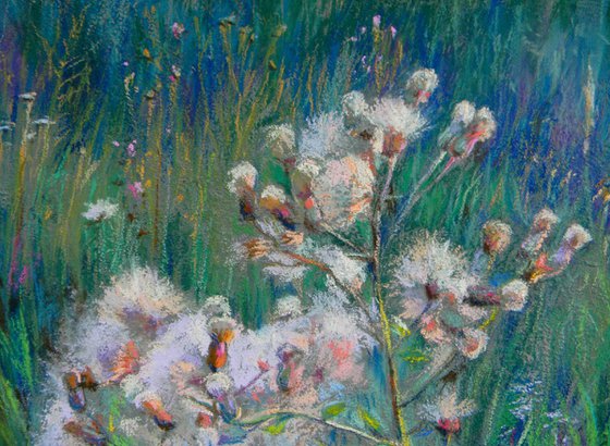 Field Herbs 1