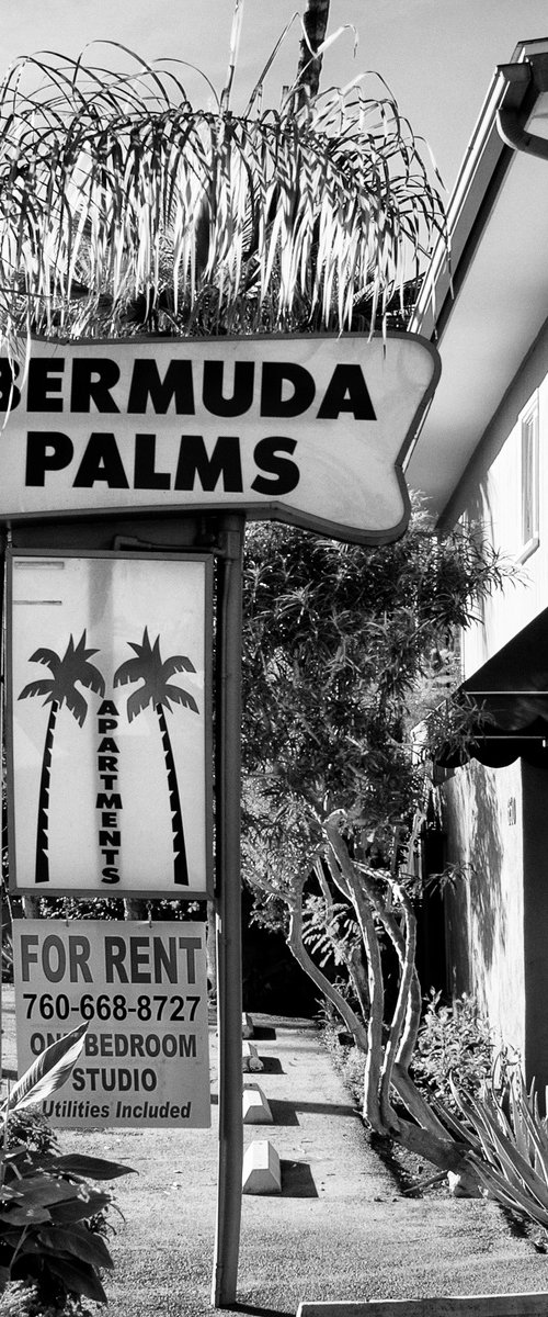 BERMUDA PALMS MYSTERY Palm Springs CA by William Dey