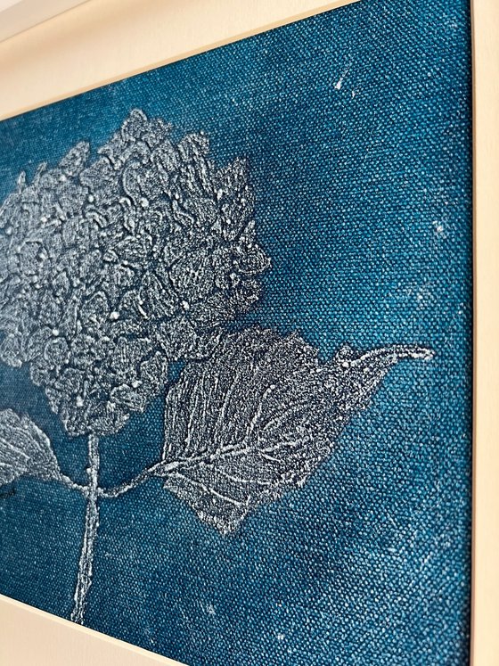 Hortensia Blue