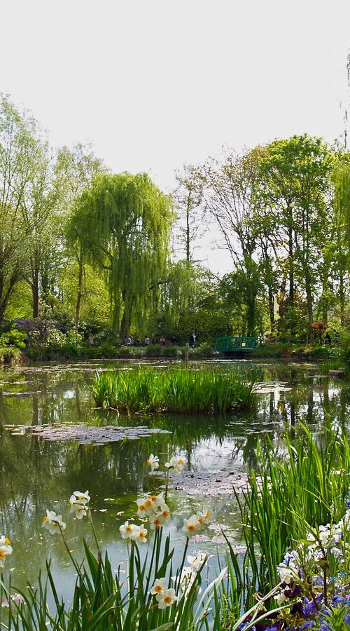 Le jardin d'eau au printemps by Alex Cassels