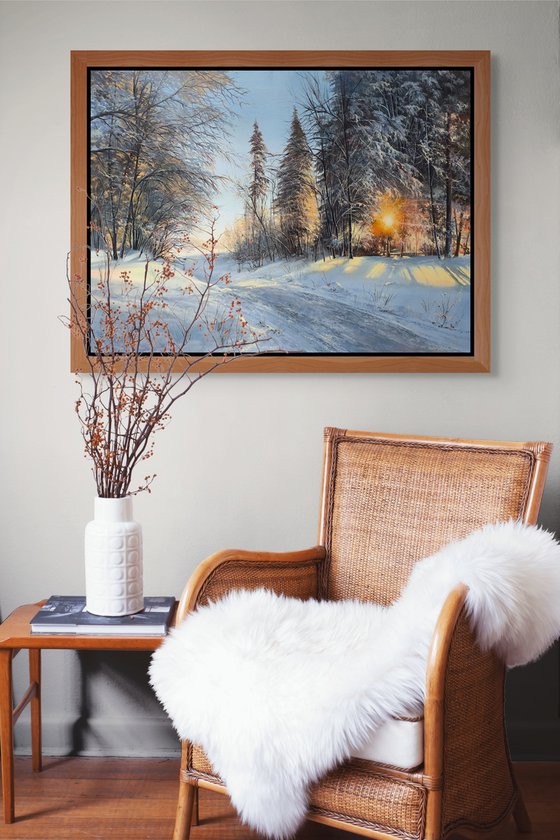 Winter Forest Morning