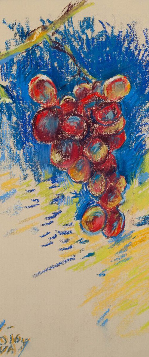 Grape for Vincent van Gogh - en-plein-air drawing by Daria Yablon-Soloviova