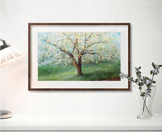 Blossoming Apple Tree Spring