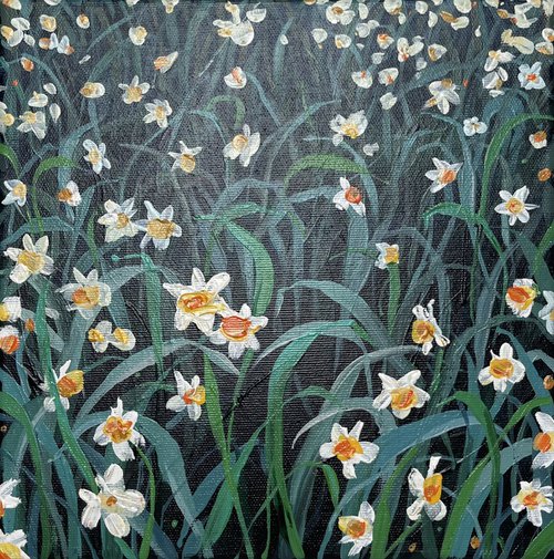 Just daffodils by Yevheniia Salamatina
