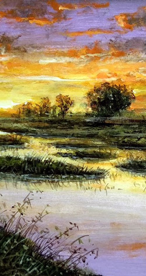 Marsh meadows5 by Vishalandra Dakur