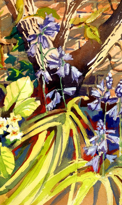 Primroses and Bluebells, Spring in the Garden. Flowers by Peter Day
