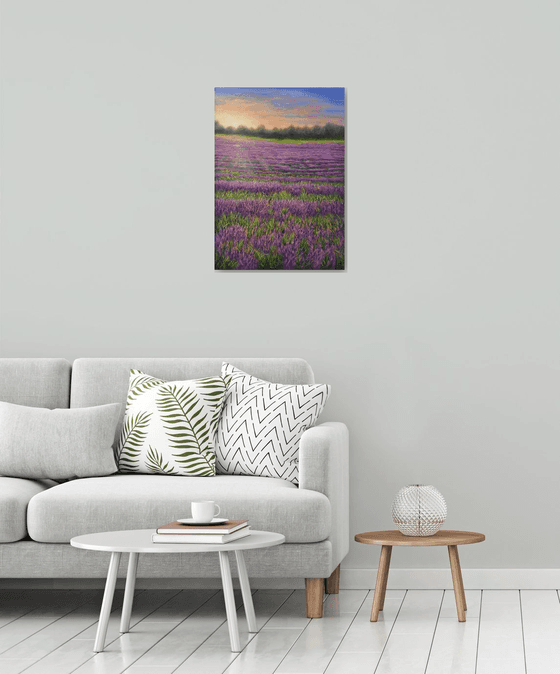 Sunrise on the lavender field