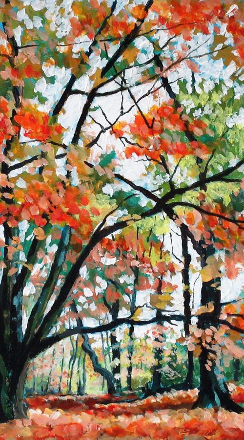 Autumn Colours Alderley Edge by Max Aitken