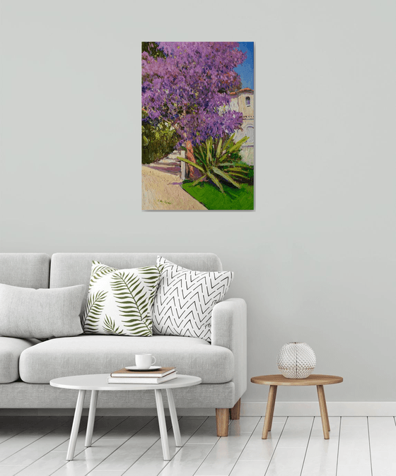 Jacaranda Tree