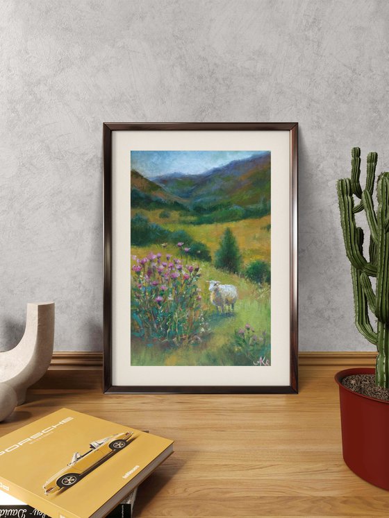 Scottish landscape, sheep on pasture