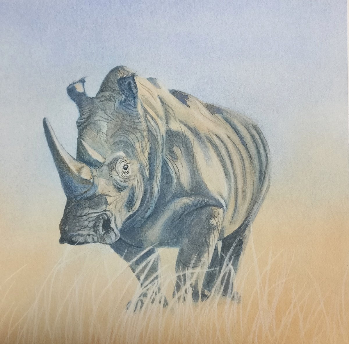 Rhino II by TARA SLATER