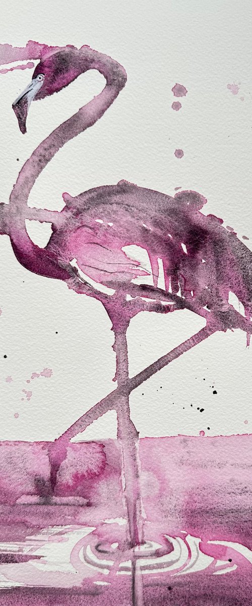 Flamingo by Alla Semenova