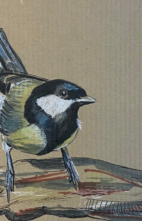 Great Tit by Sarah Stowe