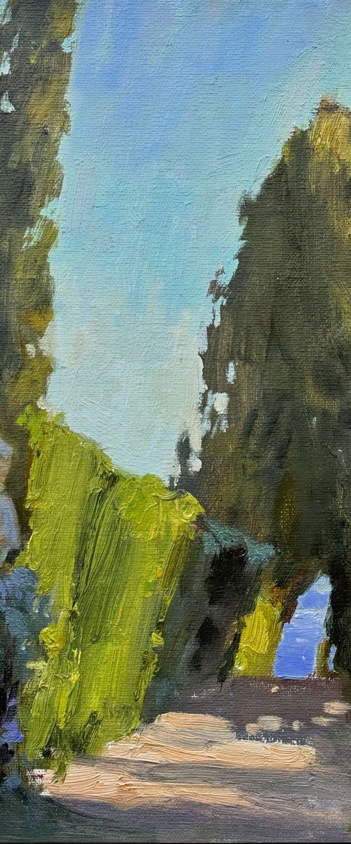 Cypress Walk by Nataliia Nosyk