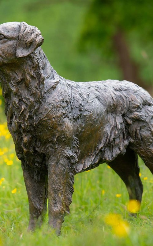 Eden Golden Retriever statue by Tanya Russell