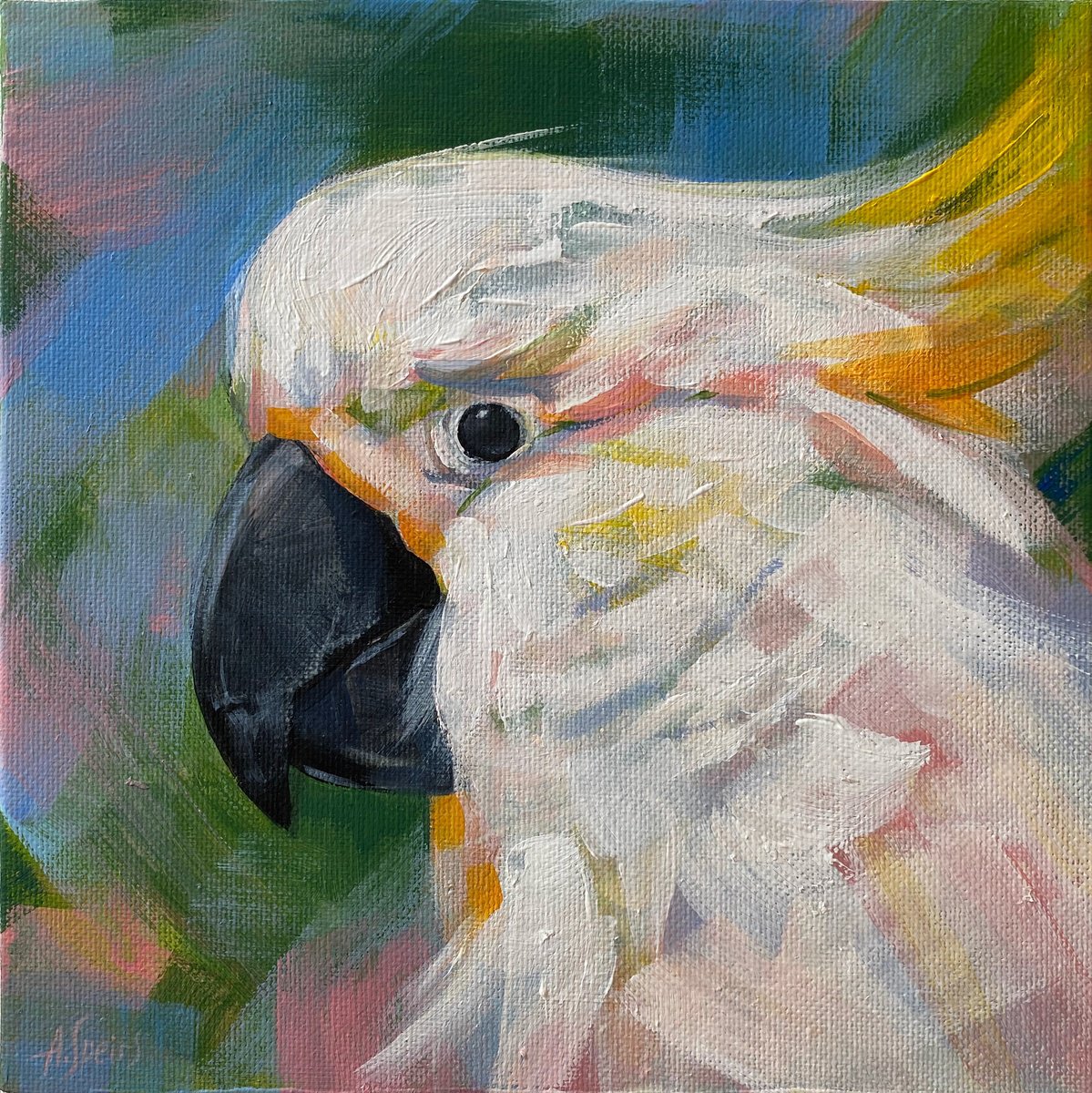 White Cockatoo by Anna Speirs